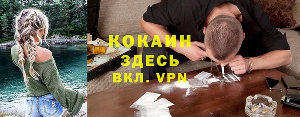 ПСИЛОЦИБИНОВЫЕ ГРИБЫ Балахна