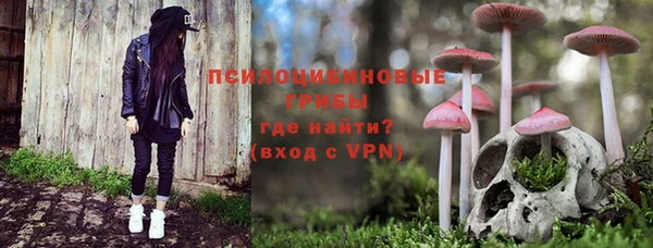 ПСИЛОЦИБИНОВЫЕ ГРИБЫ Балахна