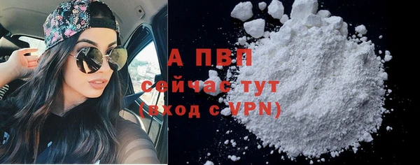 прущие грибы Фёдоровский
