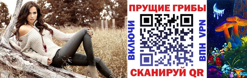 Галлюциногенные грибы Psilocybine cubensis  даркнет какой сайт  Чехов  где продают наркотики 